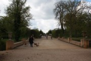 Plum s Beagles im Schlosspark