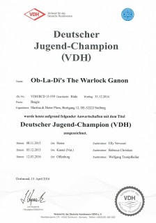 Deutscher Jugend Champion VDH