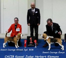 CACIB Kassel Judge Herbert Klemann