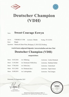 VDH Champion Urkunde Éowyn