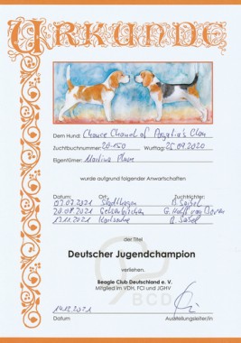 Chanel Jugend Champion Urkunde BCD