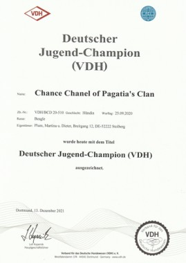 Chanel Jugend Champion Urkunde VDH