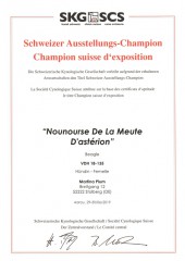 Schweitzer Ausstellungs Champion