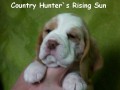 Country Hunter´Rising Sun