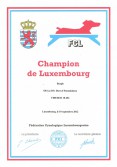 Champion de Luxembourg